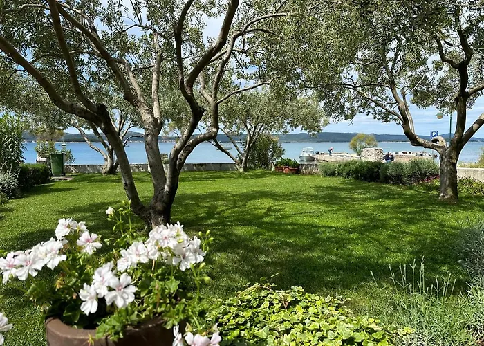 Roko * ビオグラード・ナ・モル