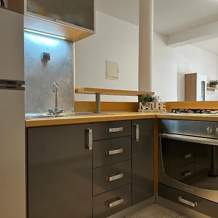 Apartment Roko