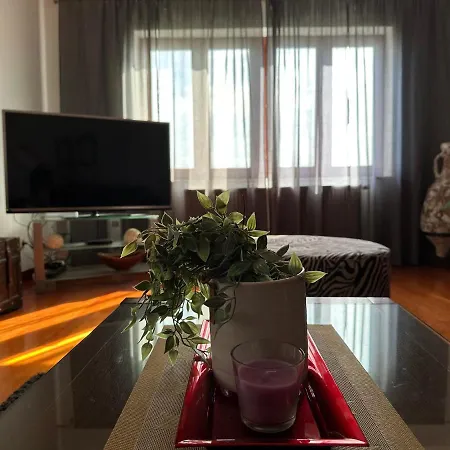 Apartment Roko *