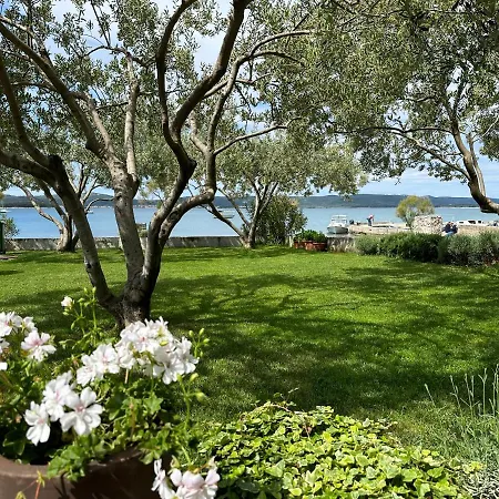 Roko * 比奥格勒·纳·莫鲁