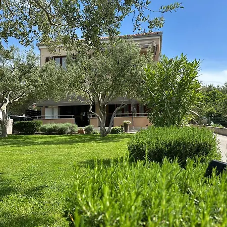 Roko * Biograd Na Moru